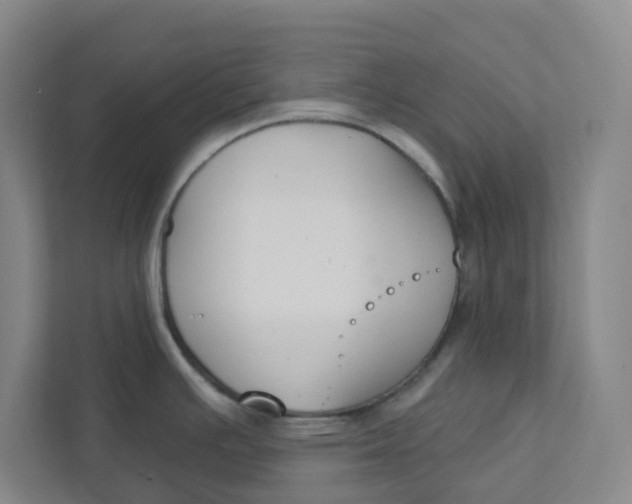 X0000111421391200908031256