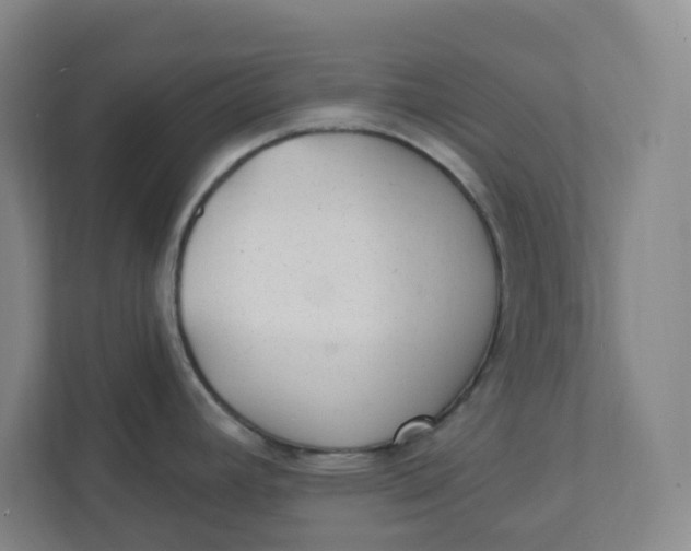 X0000111421392200908031256