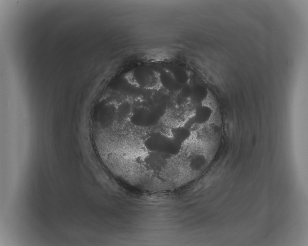 X0000111421393200908031255