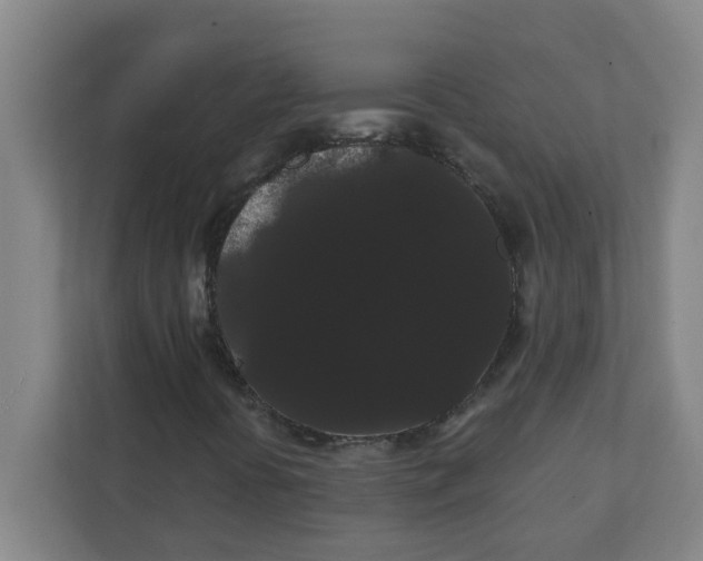 X0000111421394200908031255