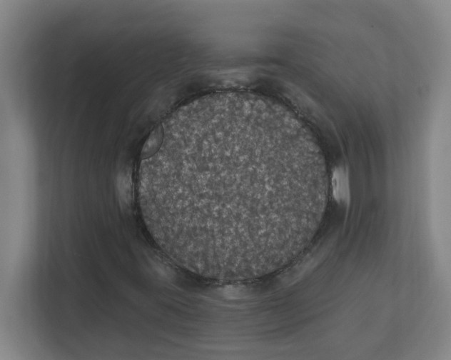 X0000111421395200908031255