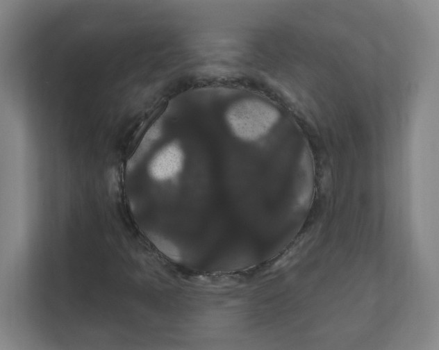 X0000111421397200908031255