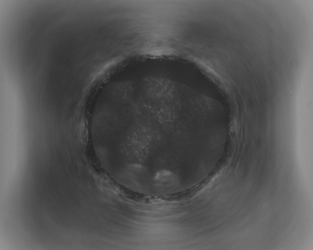 X0000111421398200908031255