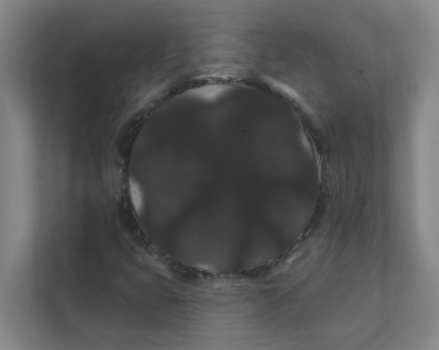 X0000111421399200908031255