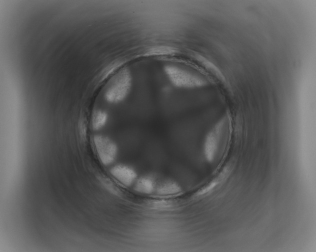 X0000111421401200908031255