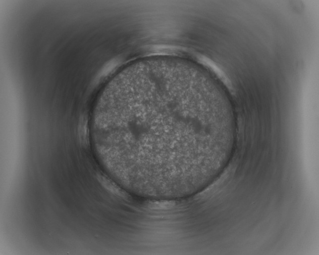 X0000111421403200908031255