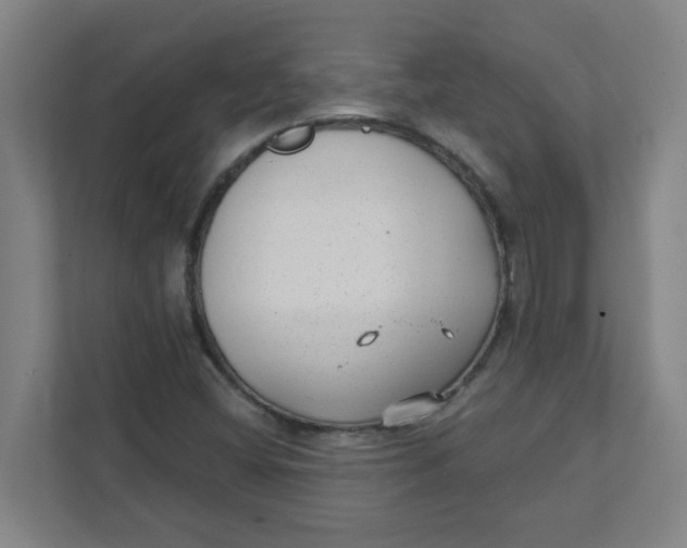 X0000111421404200908031255