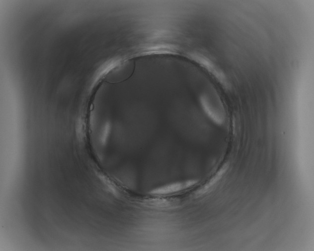 X0000111421405200908031255