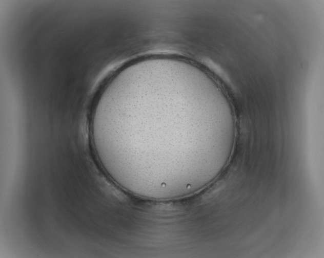 X0000111421408200908031255