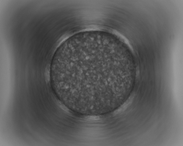 X0000111421409200908031256