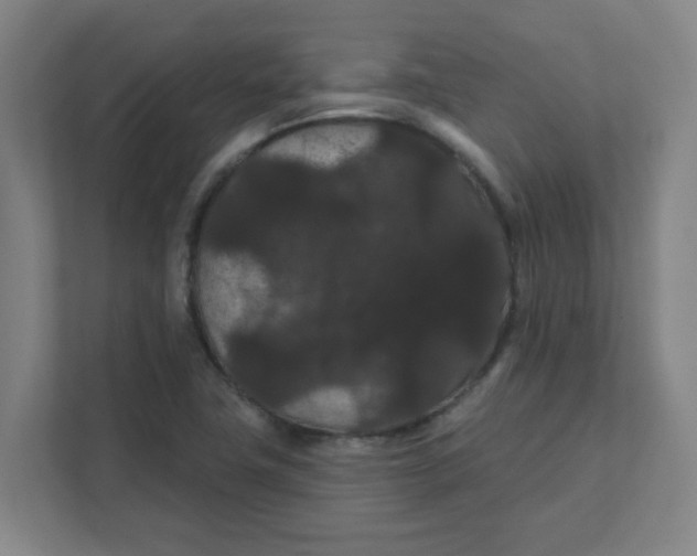 X0000111421411200908031256