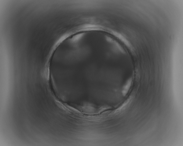 X0000111421413200908031256