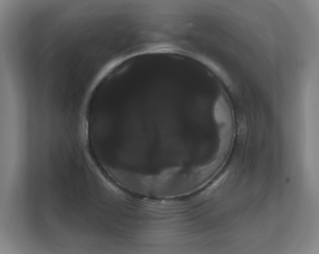 X0000111421414200908031256