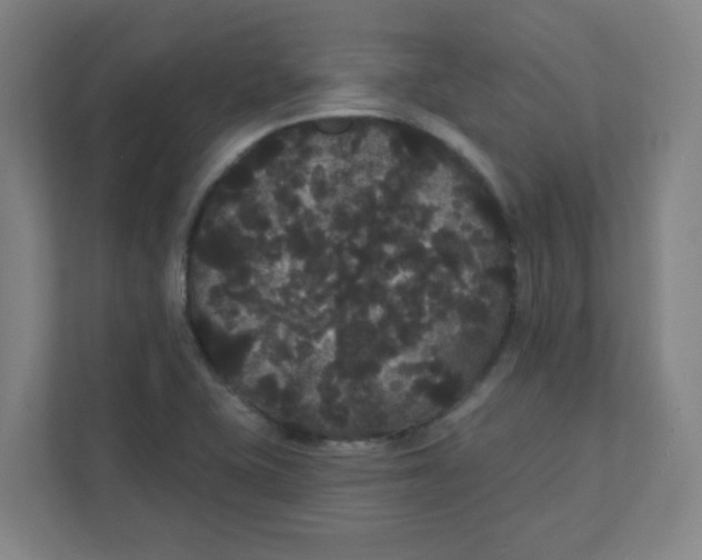 X0000111421415200908031256