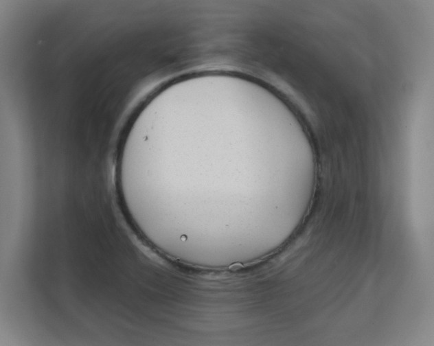 X0000111421416200908031256