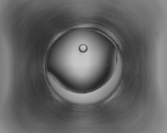 X0000111421417200908031256