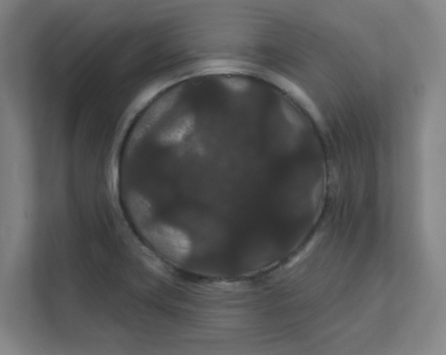 X0000111421419200908031256