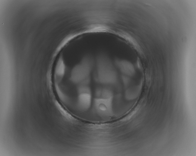 X0000111421422200908031256