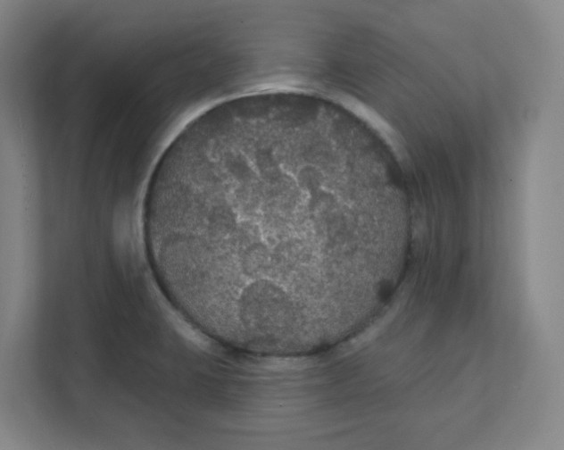 X0000111421423200908031256