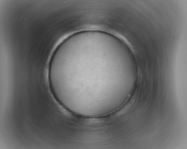 X0000111421424200908031256