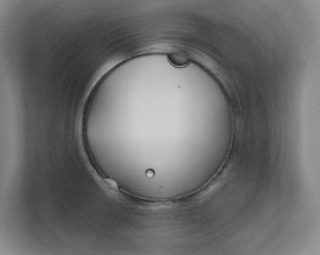 X0000111421426200908031256