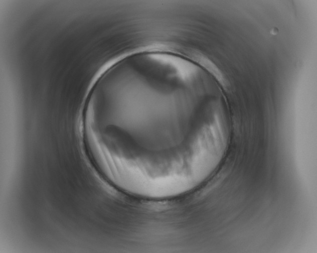 X0000111421428200908031256