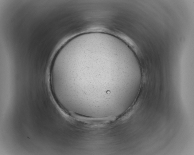 X0000111421430200908031256