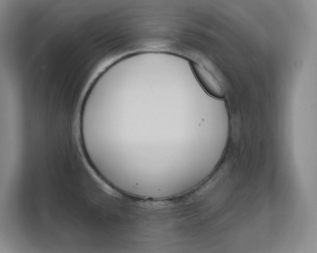 X0000111421432200908031256