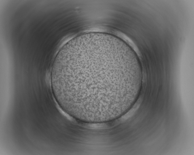 X0000111421433200908031256