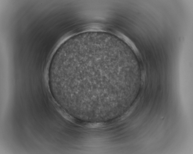 X0000111421435200908031256