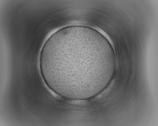 X0000111421437200908031256