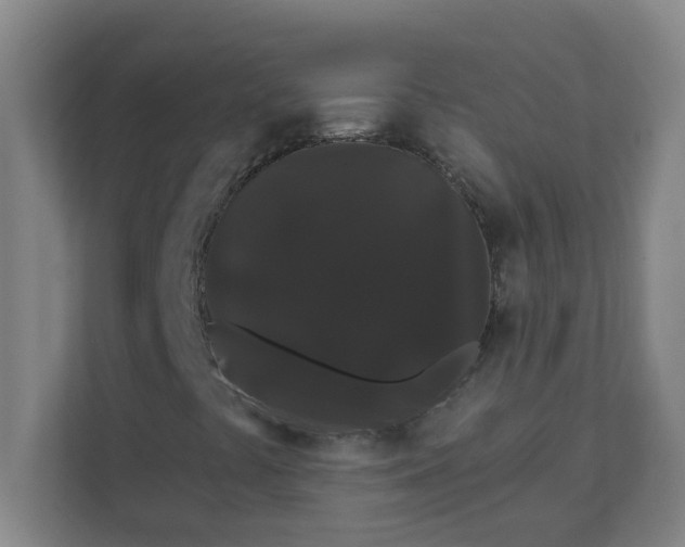 X0000111421441200908031255