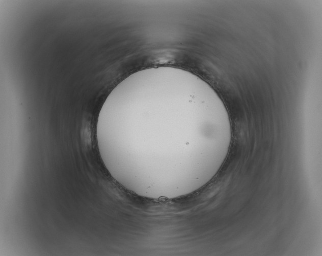 X0000111421442200908031255