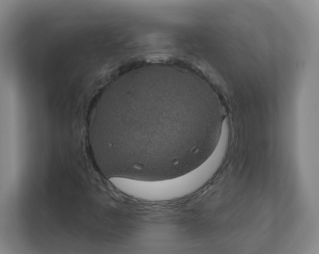 X0000111421445200908031255