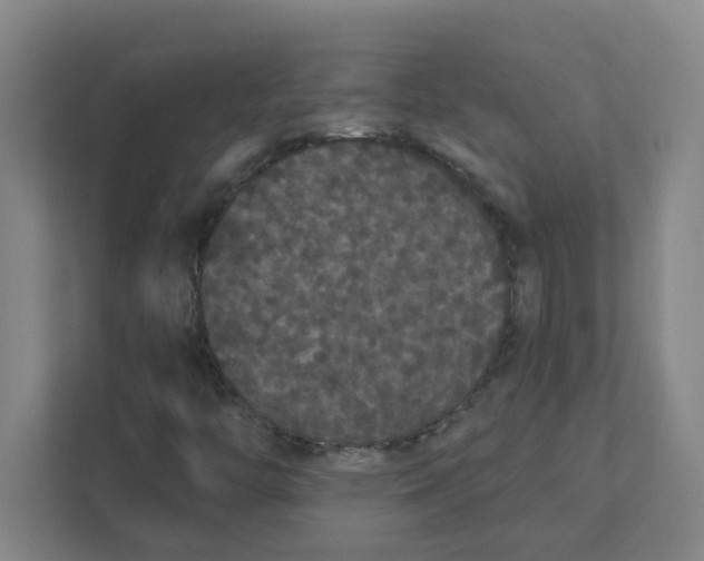 X0000111421446200908031255