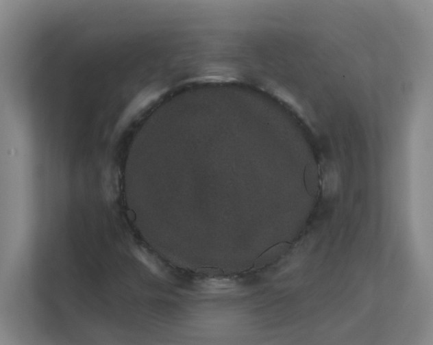 X0000111421448200908031255