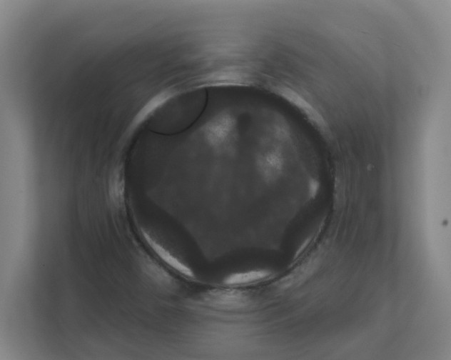 X0000111421450200908031255