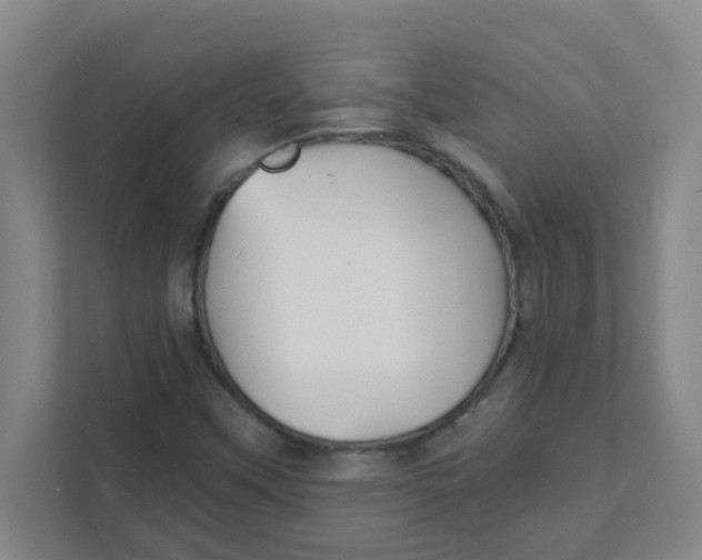 X0000111421451200908031255