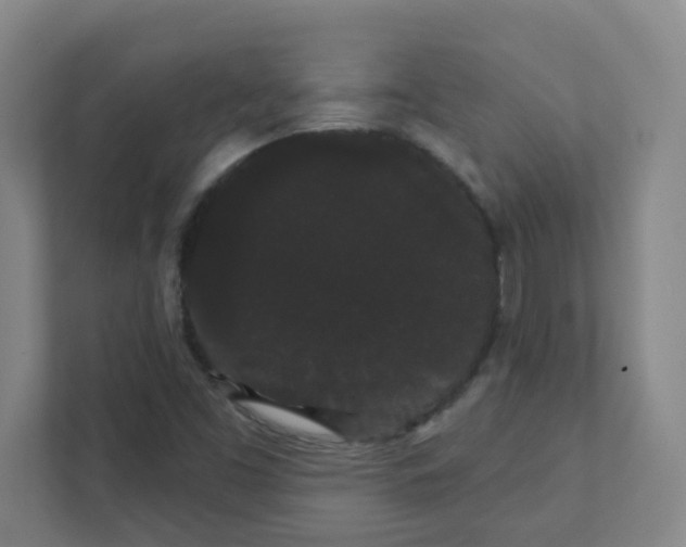 X0000111421453200908031255