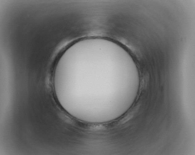 X0000111421454200908031255