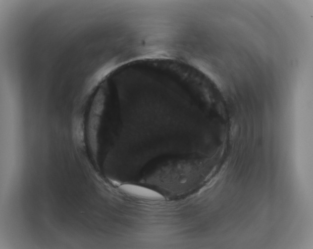 X0000111421455200908031255