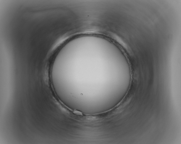 X0000111421456200908031255