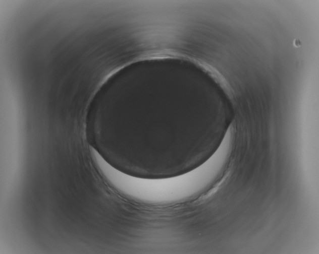 X0000111421457200908031255