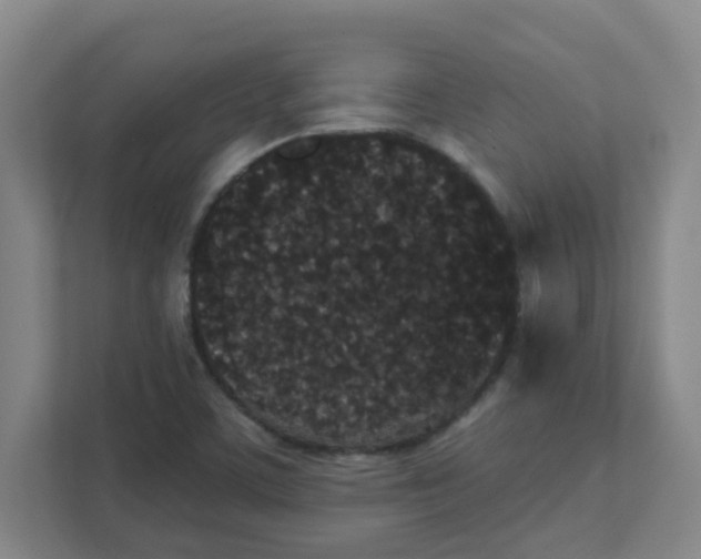 X0000111421459200908031255