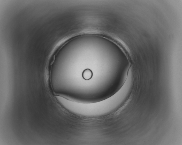 X0000111421461200908031255