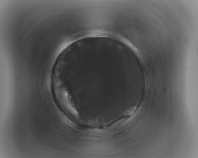 X0000111421463200908031255