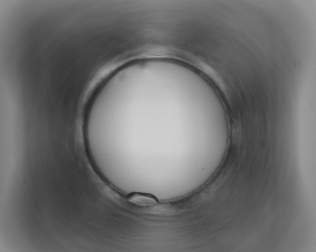 X0000111421464200908031255