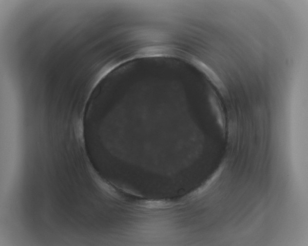 X0000111421465200908031255