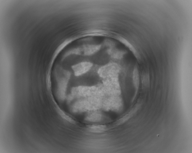 X0000111421466200908031255