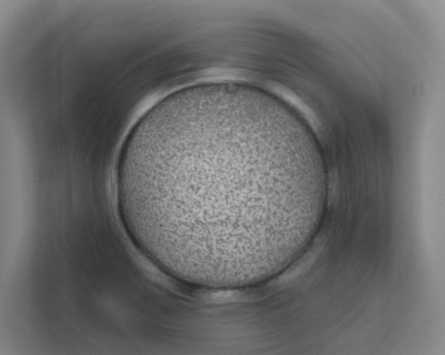 X0000111421467200908031255